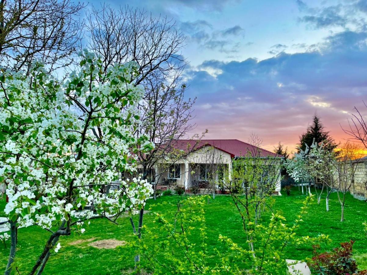 One Dom Cottage Gabala Luaran gambar